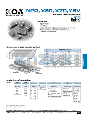 X5R0805ATTP101B datasheet - ceramic chip capacitors