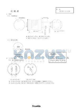 RCH1216BNP-221K datasheet - RCH1216B