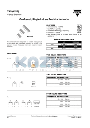 TAS214BP datasheet - Conformal, Single-In-Line Resistor Networks