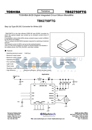 TB62750FTG datasheet - Step Up Type DC-DC Converter for White LED