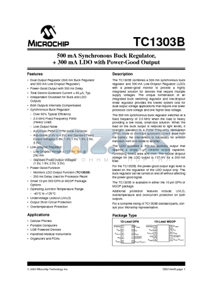 TC1303B-AA0EUN datasheet - 500 mA Synchronous Buck Regulator,  300 mA LDO with Power-Good Output