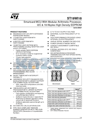 ST19WI18 datasheet - SMASmartcard MCU With Modular Arithmetic Processor, I2C & 18 Kbytes High Density EEPROM