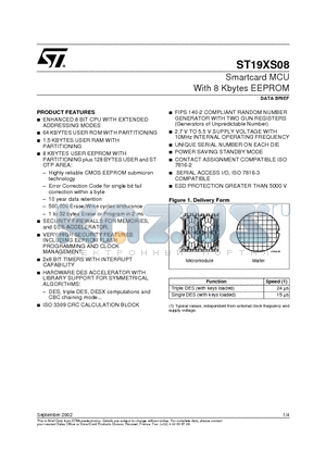 ST19XS08 datasheet - Smartcard MCU With 8 Kbytes EEPROM