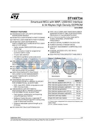 ST19XT34 datasheet - Smartcard MCU with MAP, USB/ISO Interface & 34 Kbytes High Density EEPROM