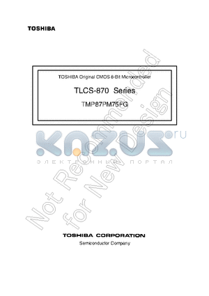 TMP87PM75FG datasheet - TLCS-870 Series