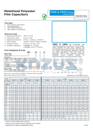 TMPE101K2A datasheet - Metallized Polyester Film Capacitors