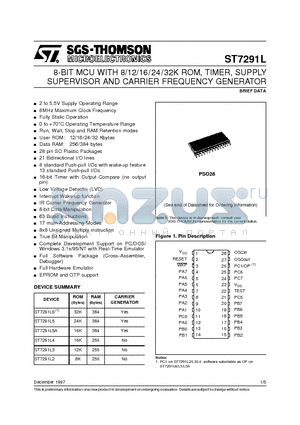 ST7291L5 datasheet - 8-BIT MCU WITH 8/12/16/24/32K ROM, TIMER, SUPPLY SUPERVISOR AND CARRIER FREQUENCY GENERATOR