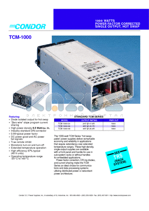 TCM-1000-24 datasheet - 1000 WATTS POWER FACTOR CORRECTED POWER FACTOR CORRECTED