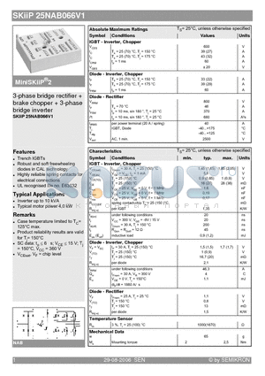 SKIIP25NAB066V1_06 datasheet - 3-phase bridge rectifier  brake chopper  3-phase bridge inverter