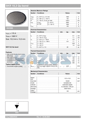 SKR10 datasheet - DIODE