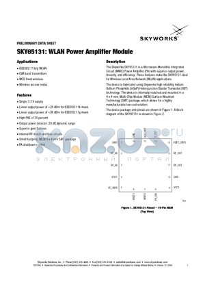 SKY65131-11 datasheet - WLAN Power Amplifier Module
