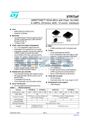 STR731FV0T6 datasheet - ARM7TDMI 32-bit MCU with Flash, 3x CAN, 4 UARTs, 20 timers, ADC, 12 comm. interfaces