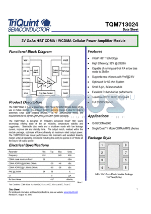 TQM713024_06 datasheet - 3V GaAs HBT CDMA / WCDMA Cellular Power Amplifier Module