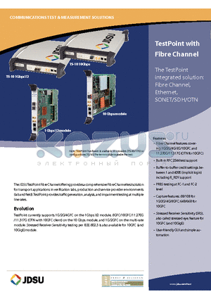 TS-10 datasheet - TestPoint with Fibre Channel