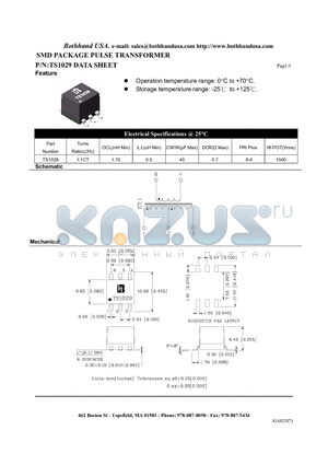 TS1029 datasheet - SMD PACKAGE PULSE TRANSFORMER