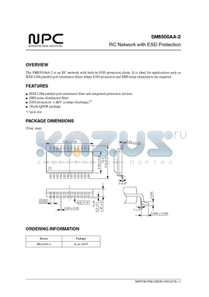 SM6500AA-2 datasheet - RC Network with ESD Protection