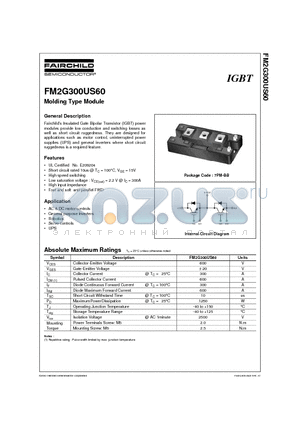 FM2G300US60 datasheet - Molding Type Module