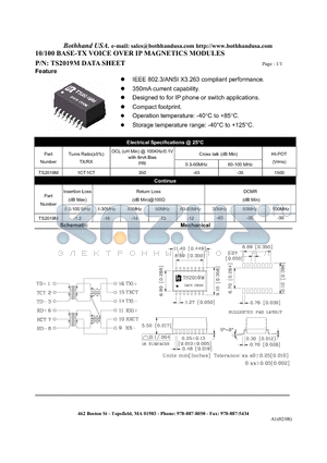 TS2019M datasheet - 10/100 BASE-TX VOICE OVER IP MAGNETICS MODULES