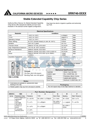 XRN740-1005DBWP datasheet - Stable Extended Capability Chip Series