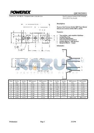 QIC0620001 datasheet - Dual Common Emitter IGBT Module 200A 600V Per Switch