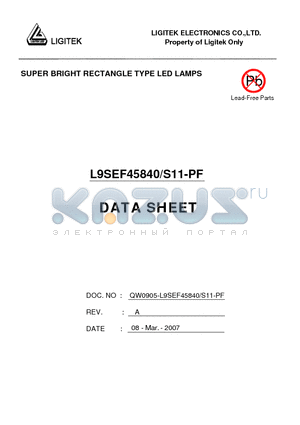 L9SEF45840-S11-PF datasheet - SUPER BRIGHT RECTANGLE TYPE LED LAMPS