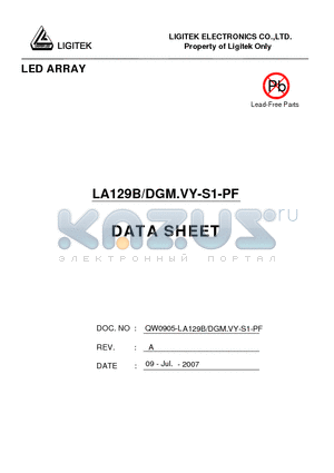 LA129B-DGM.VY-S1-PF datasheet - LED ARRAY