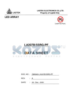 LA207B-5SRG-PF datasheet - LED ARRAY