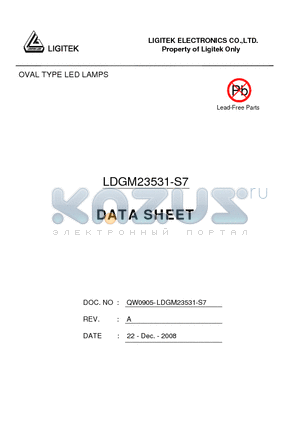 LDGM23531-S7 datasheet - OVAL TYPE LED LAMPS