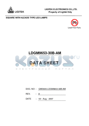 LDGM9653-30B-AM datasheet - SQUARE WITH 4LEADS TYPE LED LAMPS