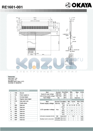 RE1601-001 datasheet - Duty ration : 1/16