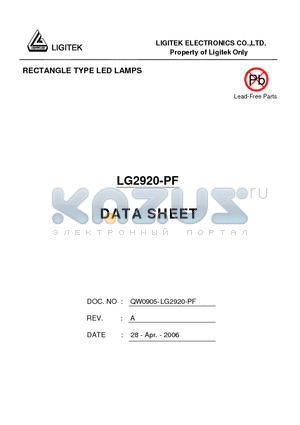 LG2920-PF datasheet - RECTANGLE TYPE LED LAMPS