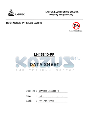 LH45840-PF datasheet - RECTANGLE TYPE LED LAMPS