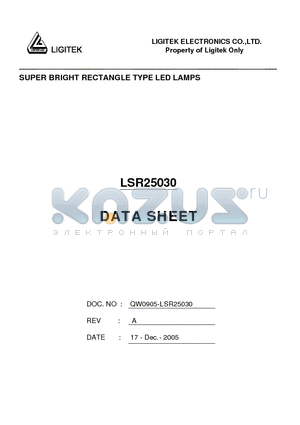 LSR25030 datasheet - SUPER BRIGHT RECTANGLE TYPE LED LAMPS