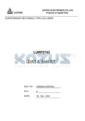 LURF5743 datasheet - SUPER BRIGHT RECTANGLE TYPE LED LAMPS