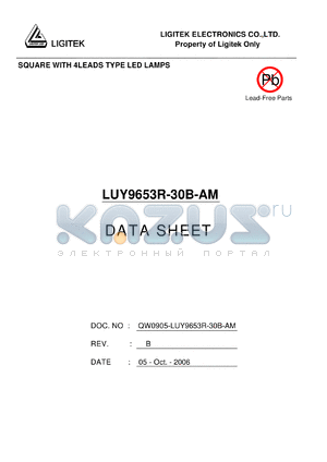 LUY9653R-30B-AM datasheet - SQUARE WITH 4LEADS TYPE LED LAMPS