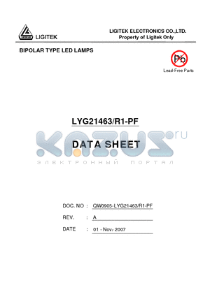 LYG21463-R1-PF datasheet - BIPOLAR TYPE LED LAMPS