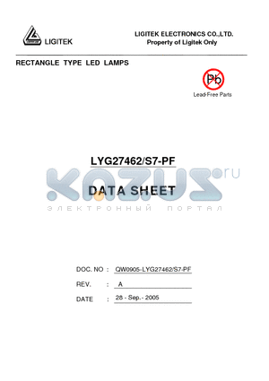 LYG27462-S7-PF datasheet - RECTANGLE TYPE LED LAMPS