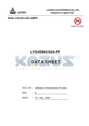 LYG45893/S24-PF datasheet - DUAL COLOR LED LAMPS