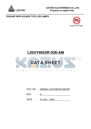 L20UY9653R-30B-AM datasheet - SQUARE WITH 4LEADS TYPE LED LAMPS