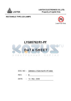 LYG85762/R1-PF datasheet - RECTANGLE TYPE LED LAMPS