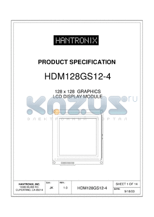 HDM128GS12-4 datasheet - 128 x 128 GRAPHICS LCD DISPLAY MODULE