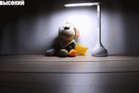     
: lampa.gif
: 0
:	331.8 
ID:	106529