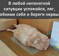     
: Cat.jpg
: 0
:	48.1 
ID:	136345