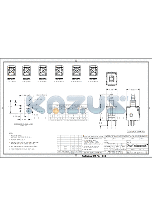982A01RX datasheet - MOMENTARY IBS SWITCH SHORT TERMINALS, RoHS