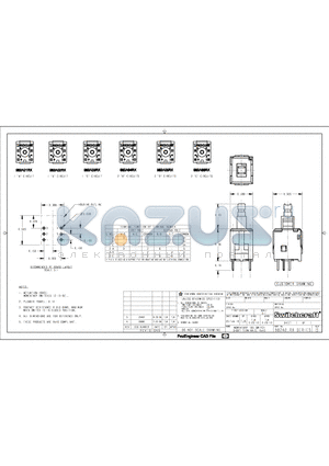 982A05RX datasheet - MOMENTARY IBS SWITCH SHORT TERMINALS, RoHS