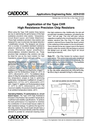 AEN-0103 datasheet - High Resistance Precision Chip Resistors