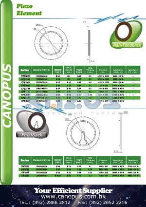 CIP2022 datasheet - Piezo Element