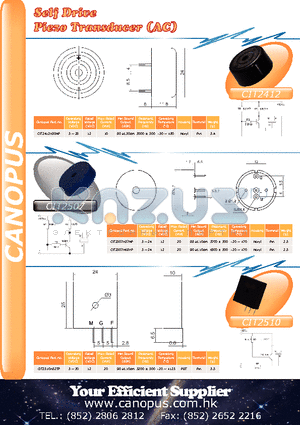 CIT2510 datasheet - Self Drive Piezo Transducer (AC)