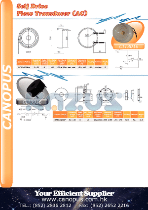 CIT3016G34BW datasheet - Self Drive Piezo Transducer (AC)