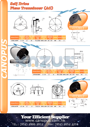 CIT2811H30TP datasheet - Self Drive Piezo Transducer (AC)